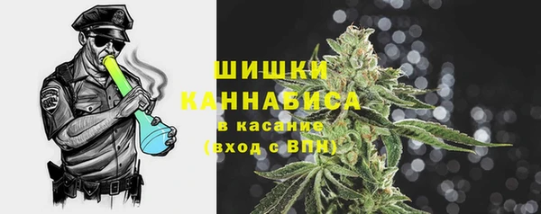 прущие грибы Беломорск