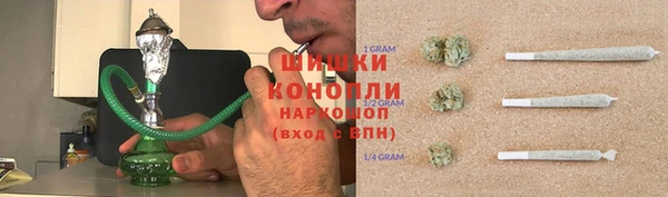 прущие грибы Беломорск
