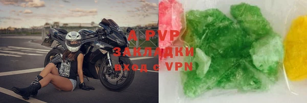 гидра Белокуриха