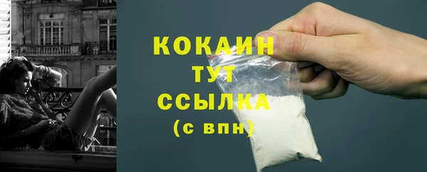 прущие грибы Беломорск