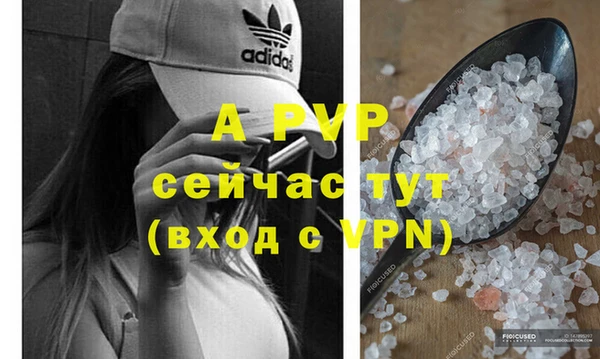 прущие грибы Беломорск