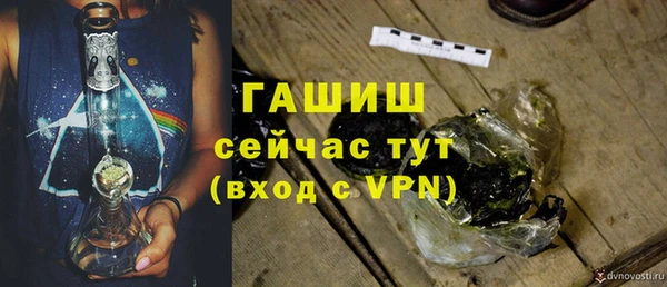 гидра Белокуриха