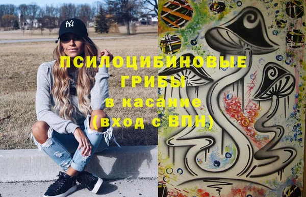прущие грибы Беломорск