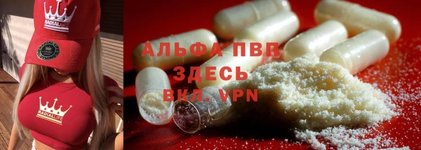 прущие грибы Беломорск