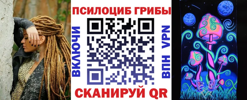 наркотики  Свободный  Галлюциногенные грибы Psilocybe 